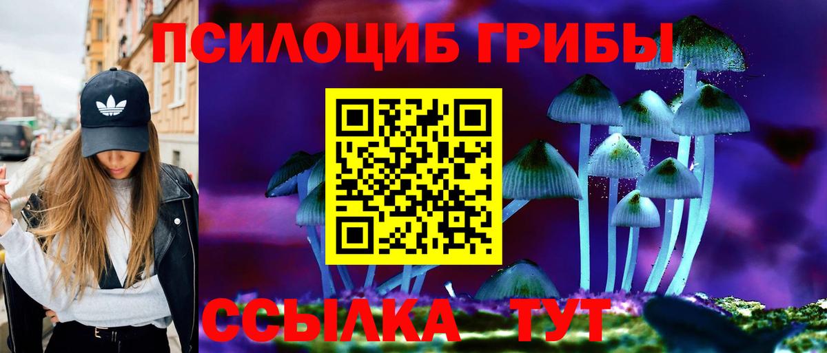 Галлюциногенные грибы Psilocybine cubensis  Вход с VPN  Галлюциногенные грибы MAGIC MUSHROOMS  Анапа 